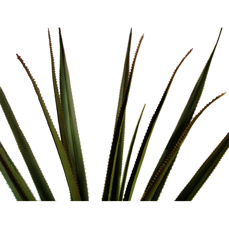 Laura Ashley Tall High End Realistic Silk Giant Agave Floor Plant in Pot Wayfair Canada